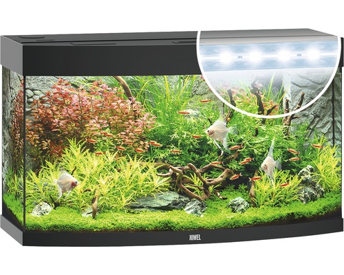 Aquarium Juwel avec plantes, poissons et éclairage