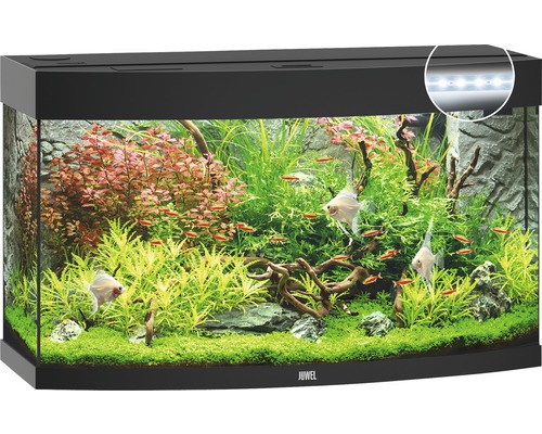 Aquarium Juwel Vision 180 LED avec éclairage,chauffage et filtre sans sous-meuble noir