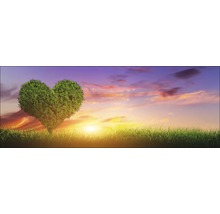 Landschaft mit Rasen und Baum in Herzform vor Sonnenaufgang