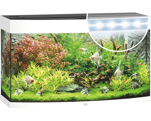 Aquarium décoratif avec poissons, plantes et éclairage