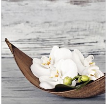 Coupe décorative avec fleurs d''orchidées blanches