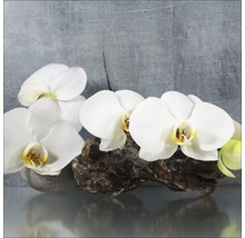 Glasbild White Orchid II 20x20 cm GLA1337
