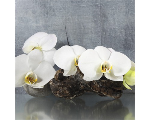 Tableau en verre White Orchid II, 20x20 cm