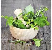 Tableau en verre Green Basil In Bowl I, 50x50 cm