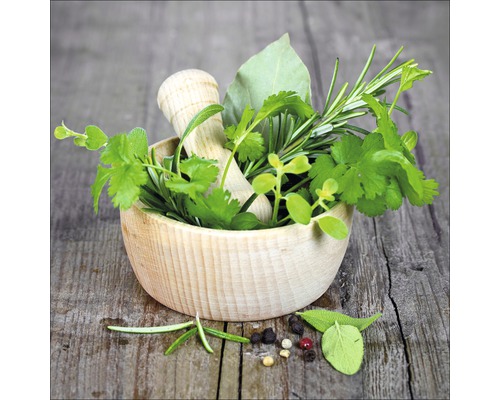 Glasbild Green Basil In Bowl I 50x50 cm GLA1385