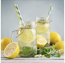 Deux verres de jus de citron avec des pailles, des tranches de citron et de la menthe