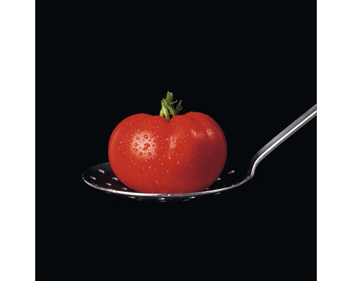 Tableau en verre Tomato On Black, 50x50 cm