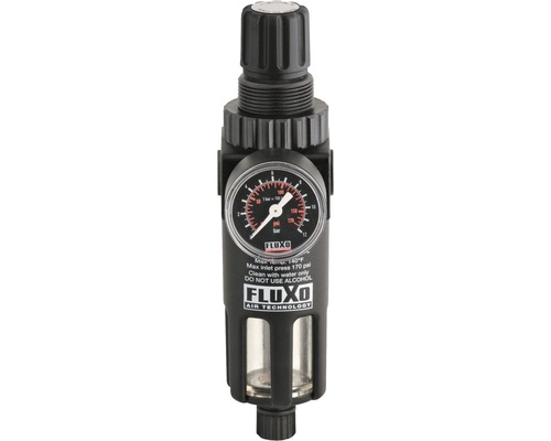 Régulateur de pression de filtre FX 3130 1/4"