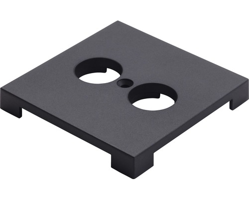 Quadratische Montageplatte mit zwei runden Aussparungen