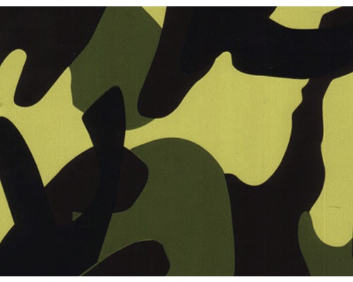 Film d'impression à l'eau camouflage CA-NR-010 100 x 50 cm Motif camouflage