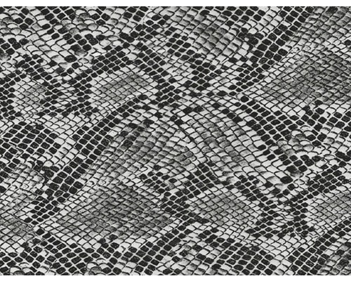 Film d'impression à l'eau serpent noir CD-11 100 x 50 cm