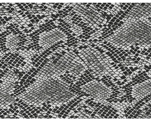 Film d'impression à l'eau serpent noir CD-11 100 x 50 cm Texture motif peau de serpent