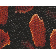 Film d'impression à l'eau serpent rouge CD-90 100 x 50 cm-thumb-0