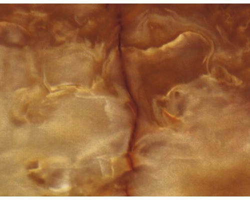 Film d'impression à l'eau marbre marron CS-13 100 x 50 cm Gros plan d''une surface en bois avec des veines naturelles