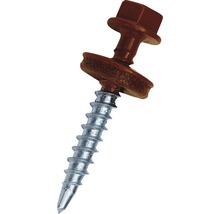 Eine einzelne braune Bohrschraube mit Sechskantkopf