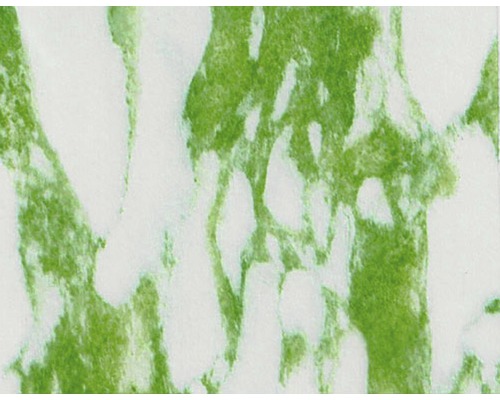 Film d'impression à l'eau marbre vert CS-07-3 100 x 50 cm
