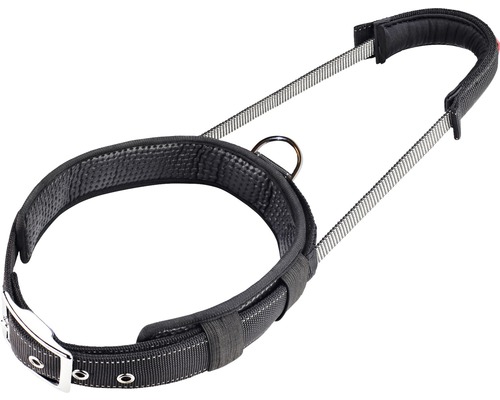 Harnais pour chien avec sangles réglables