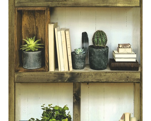 Papier peint intissé 36469-1 Authentic Walls 2 étagère Étagère décorative avec plantes grasses, livres et plume