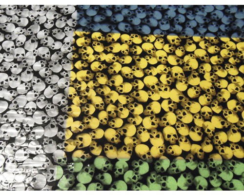 Film d'impression à l'eau Skulls CD-17-SC 100 x 50 cm Tissu avec motif de crânes