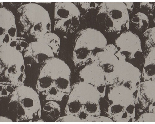 Film d'impression à l'eau Skulls CD-296 100 x 50 cm Illustration de crânes