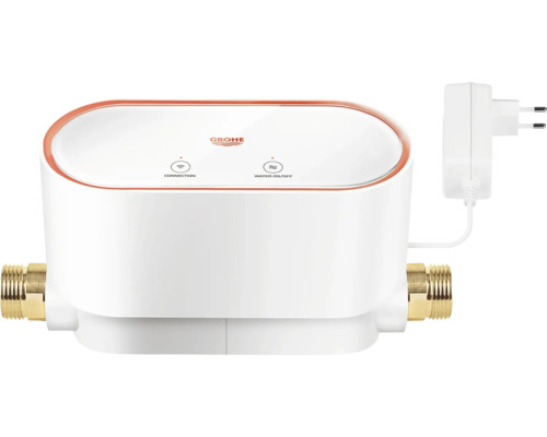 Grohe Sense Guard Wasserkontrollsystem mit Netzteil