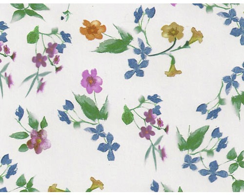 Film d'impression à l'eau fleurs multicolore CD-189 100 x 50 cm Motif floral avec des éléments floraux