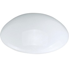 Verre de rechange pour ventilateur de plafond Madeira Morgien
