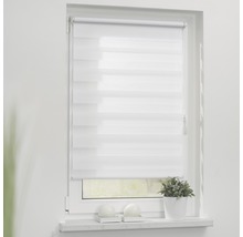 Fenster mit weißem Doppelrollo zur Lichtregulierung