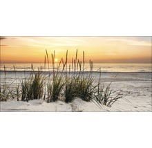 Tableau sur toile Lonely Dune 50x100 cm