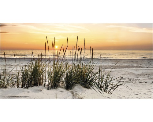 Leinwandbild Lonely Dune 50x100 cm