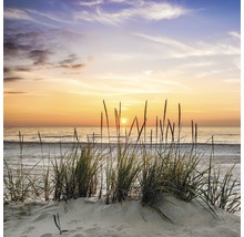 Tableau sur toile Lonely Dune 27x27 cm