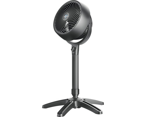 Standventilator zur Luftzirkulation im Raum