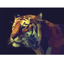 Tableau sur toile Colourful Tiger 84x116 cm