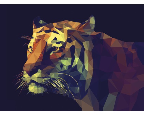 Tableau sur toile Colourful Tiger 84x116 cm