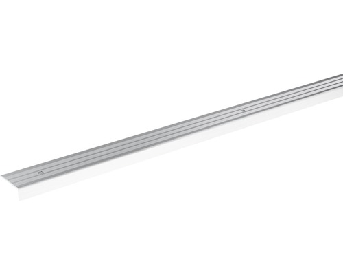 SKANDOR Treppenkantenprofil silber eloxiert gelocht 9,5x24,5x900 mm Aluminium Treppenkantenprofil