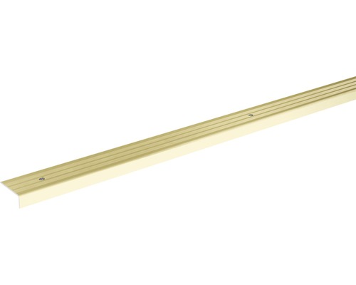 SKANDOR Treppenkantenprofil champagner eloxiert gelocht 9,5x24,5x900 mm Treppenkantenprofil aus Aluminium mit Schrauben