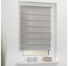 Fenêtre avec store enrouleur double gris monté pour le contrôle de la lumière