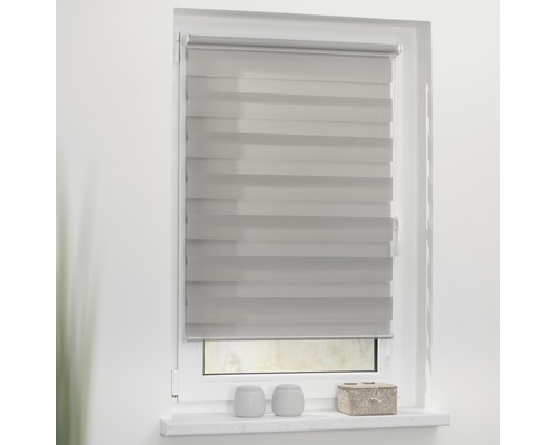 Fenêtre avec store enrouleur double gris monté pour le contrôle de la lumière