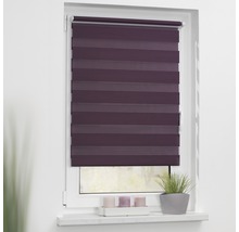 Fenster mit blickdichtem, horizontal gestreiften Doppelrollo