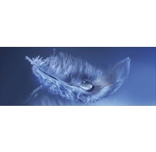 Plume avec goutte d''eau
