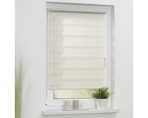 Fenster mit einem Doppelrollo zur Lichtregulierung.