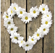Forme de coeur de marguerites sur fond en bois