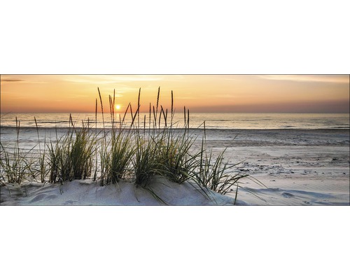 Glasbild Lonely Dune 30x80 cm GLA1304