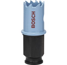 Lochsäge mit Bosch Logo
