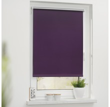 Lila Rollo am Fenster