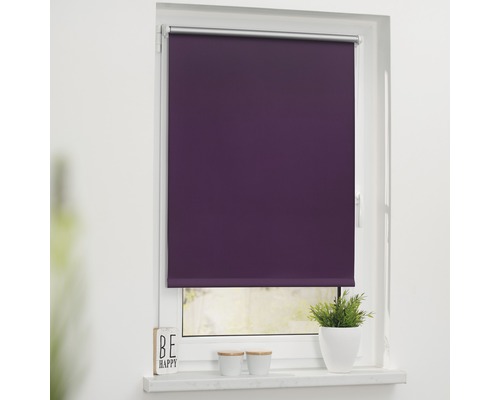 Lila Rollo am Fenster