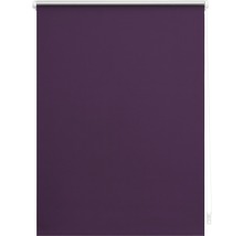 Lila Rollo für Fenster