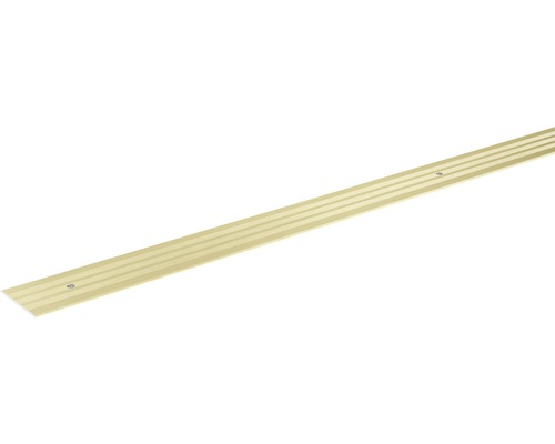 SKANDOR Übergangsprofil champagner eloxiert gelocht 2x29,5x900 mm Übergangsprofil für Bodenbeläge mit Schrauben