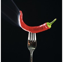 Un piment rouge est posé sur une fourchette, de la fumée s''en échappe.