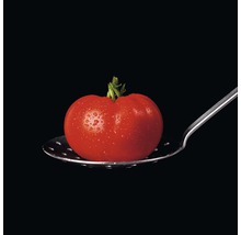 Glasbild Tomato On Black 30x30 cm GLA1419